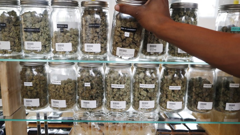 A national weed glut is causing prices to plummet and imperiling businesses - POLITICO