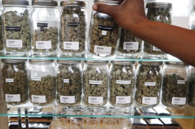 A national weed glut is causing prices to plummet and imperiling businesses - POLITICO