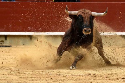 Futures Rise: Will Market Follow Up? 9 Stocks Flash Buy Signals - Investor's Business Daily