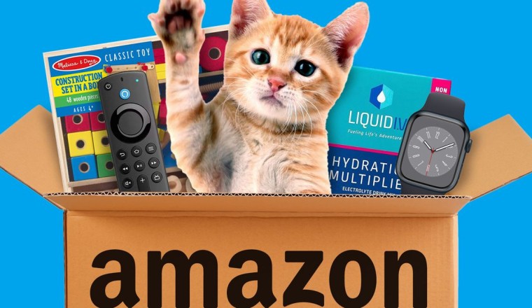 : Amazon Prime Day’s most popular purchases reveal a lot about Americans in 2023
